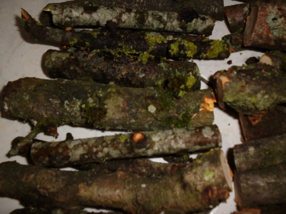 Holz,Apfelbaum,Aststücke,Bastelholz, Natur, Floristik, Basteln 800g Packung - Bild 4 von 4