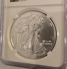 2013 NGC MS69 American Silver Eagle (Early Releases)
