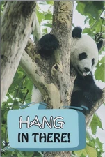 Cute Panda Hanging in Tree Motivational Postcard 4x6 UNP
