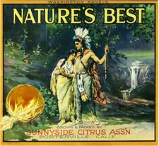 Porterville Nature's Best Lovers Orange Citrus Fruit Crate Label Art Print