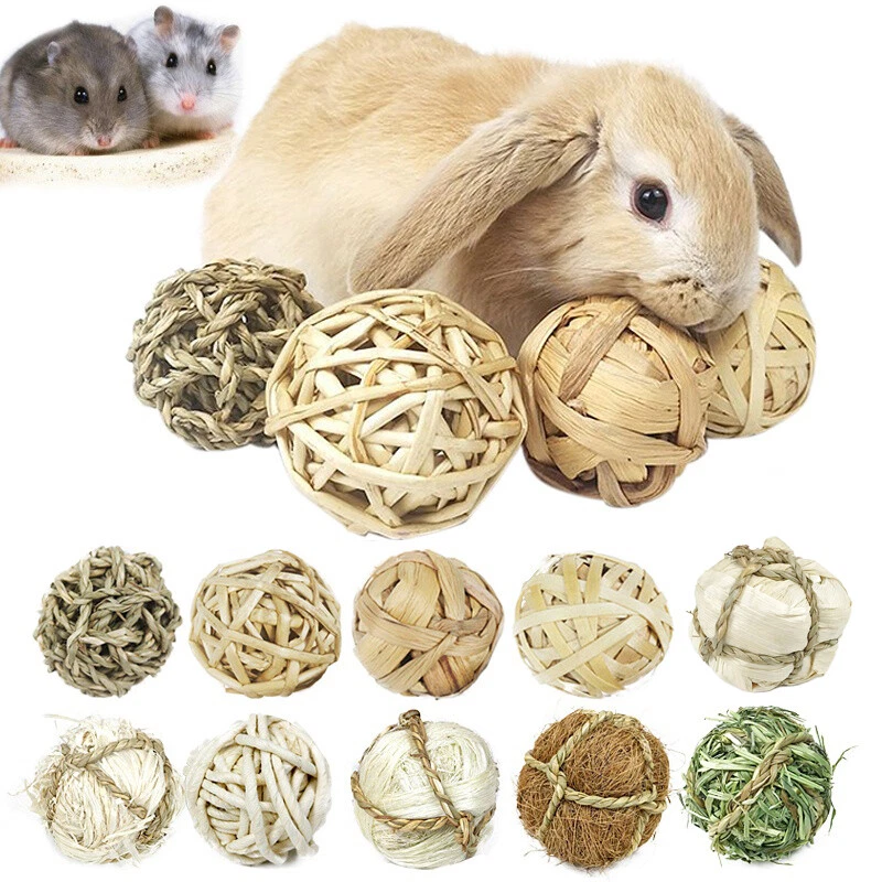 Good chew hotsell toys for rabbits