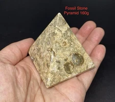 Fossil Stone Pyramid 160g Over 2in Beautiful Chakra,Feng Shui,Reiki Pakistan