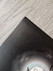 Bild 8 von 10