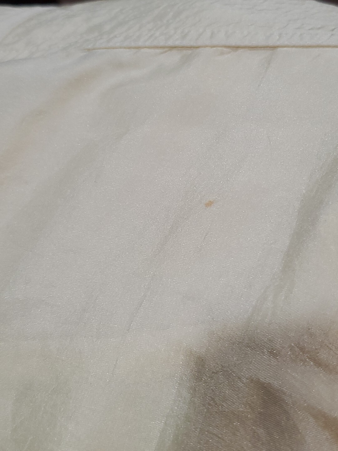 Picture 20 of 20