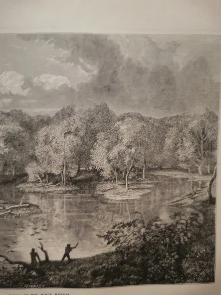 1862 Original Illustration Gravur Kupferstich Lithographie Vintage Retro  Murray - Bild 4 von 4