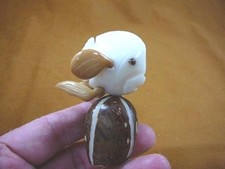 TNE-FIS-AQ-111-b) little white Tropical reef FISH TAGUA NUT Figurine Vegetable