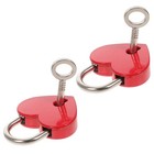  2 Sets Love Locks Heart Keyed Locks Suitcase Padlocks for Jewelry Box Diary
