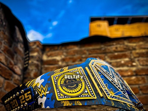 WrestlePalooza 2025 Undisputed Championship Replica Title Belt - Picture 3 of 9