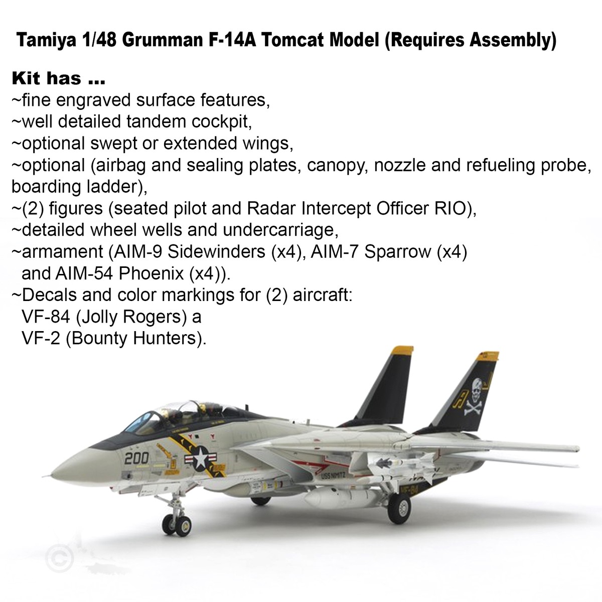 TAMIYA 1/48 GRUMMAN F-14A TOMCAT KIT *OPTION U.S./IRAQI MARKINGS