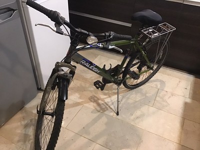 raleigh manta ray mountain bike