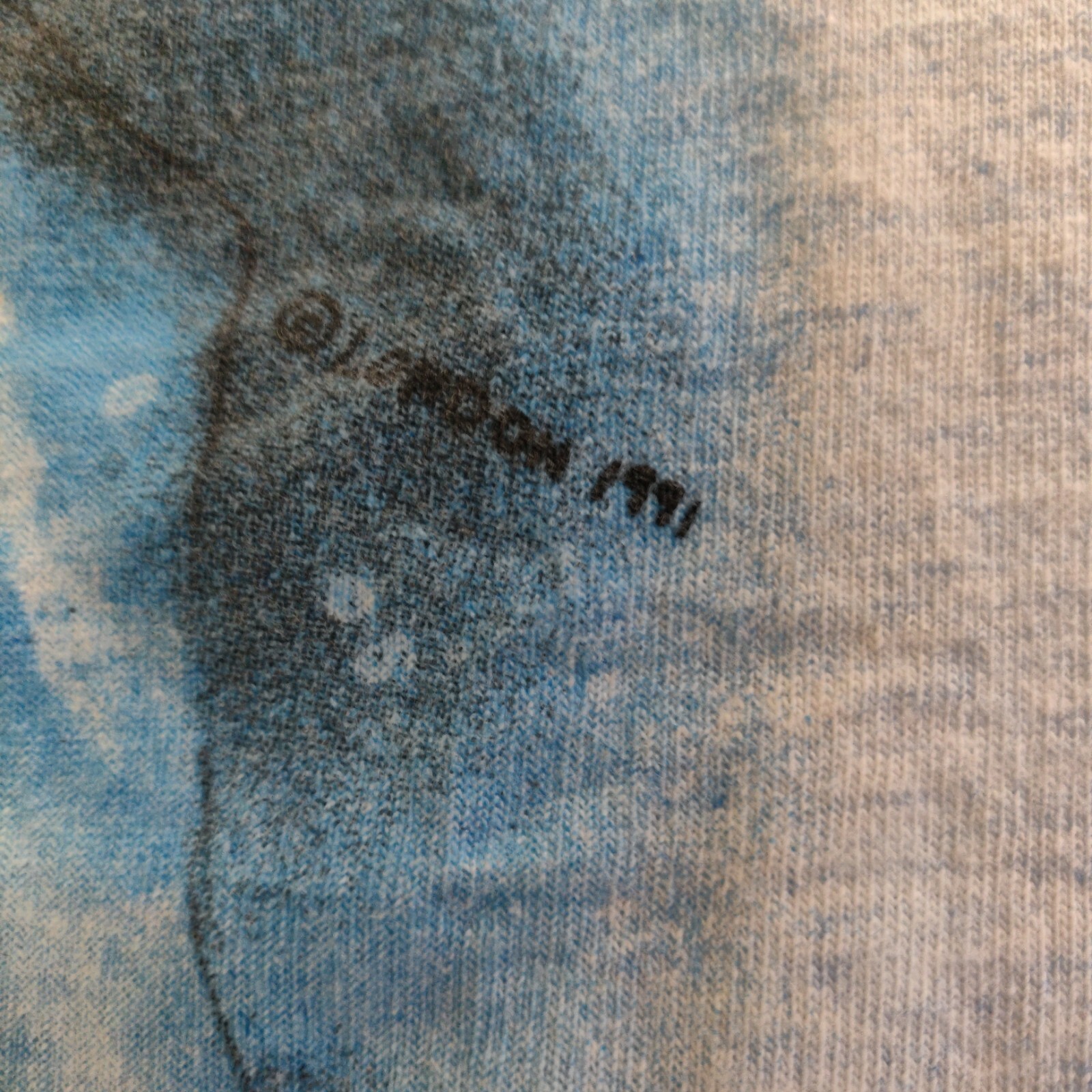 Picture 8 of 8