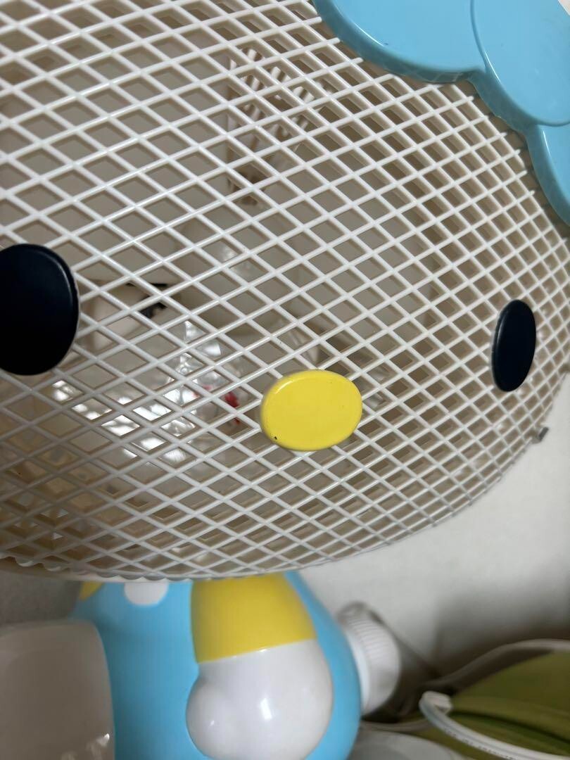 Sanrio Hello Kitty Personal Electric Fan CPM-183KD Blue Ribbon