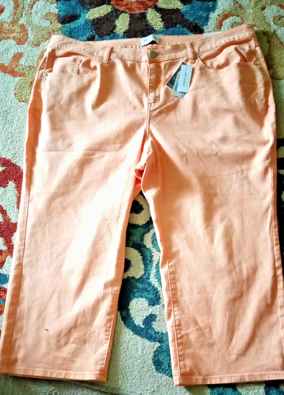 LANE BRYANT LIGHT PEACH CROP PANTS SIZE 24
