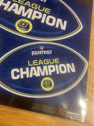 3 Magnets: NFL Fantasy League Champion (NEW) - Picture 3 of 6