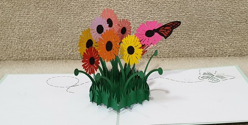 Bellissima cartolina 3D pop up da giardino margherita.(Festa della mamma, compleanno, stare bene, grazie - Foto 6 di 9