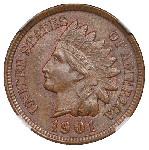 1901 Indian Head Cent NGC MS-64 BN Toning Toned Copper Coin