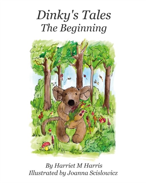 Dinky's Tales: The Beginning by Harriet M Harris NEW - Image 4