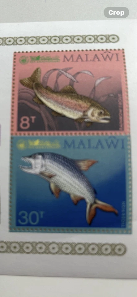 Malawi 35TH anniversary (angling Society Of Malawi) Stamps - Image 3 of 4