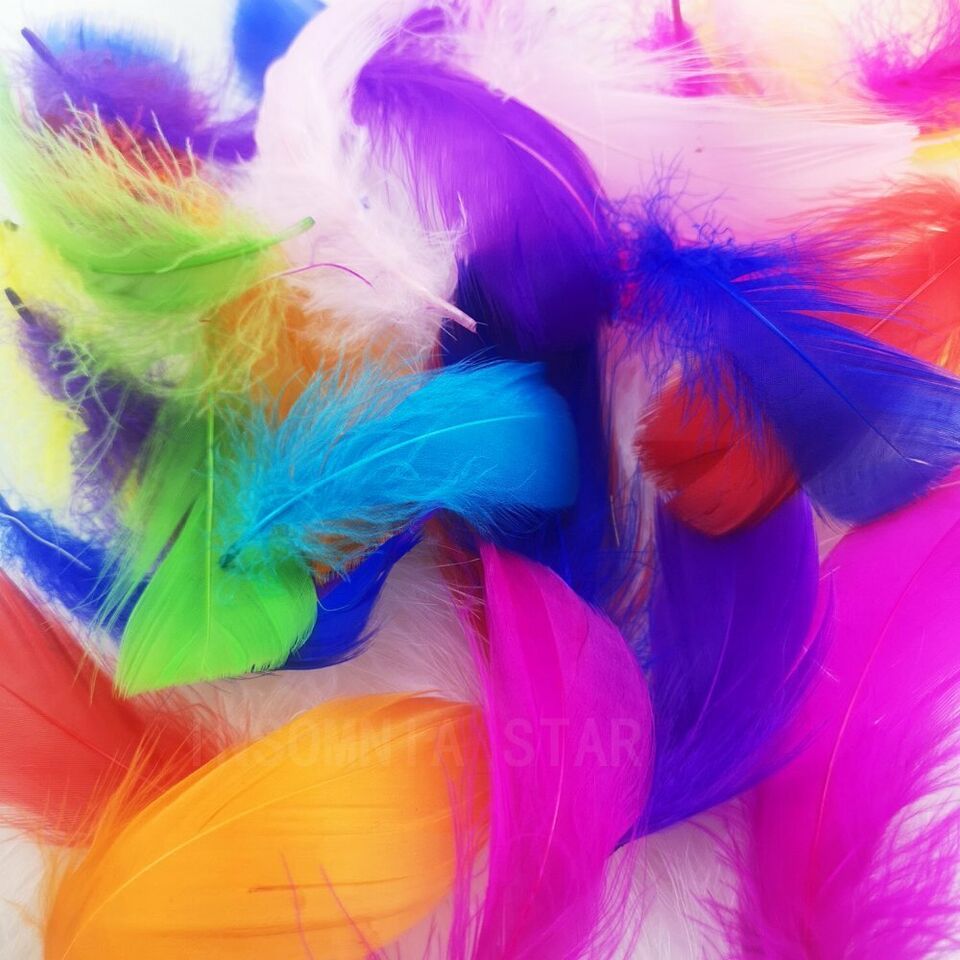 100 pcs Natural Goose Feathers 8-12 Cm Swan Plume DIY Carnival Decoration Craft