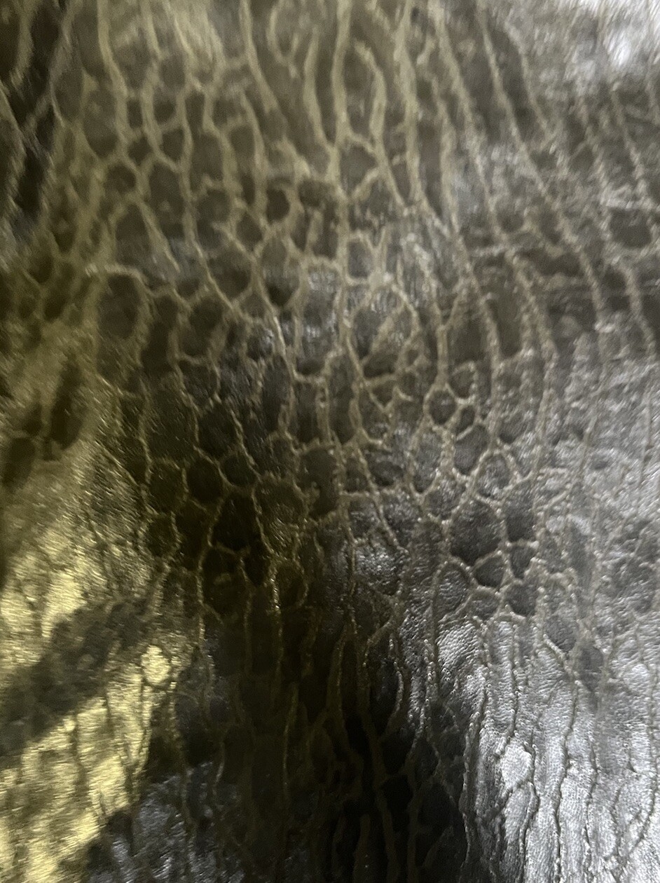 Picture 6 of 11