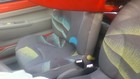Bild 8 von 12