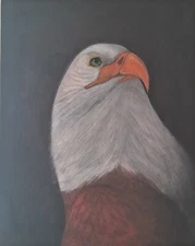 blad eagle water color painting
