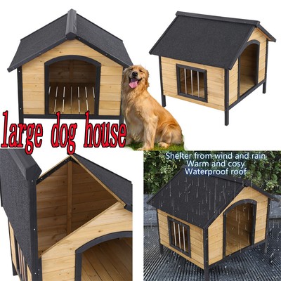 big dog dog house