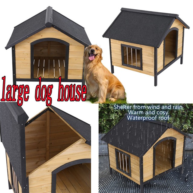 big dog house online