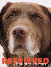 Charlotte Dumas: Retrieved Paperback