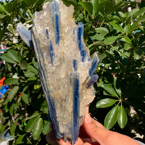 4.19LB Rare!! Natural beautiful Blue KYANITE with Quartz Crystal Specimen Rough - Picture 8 of 15