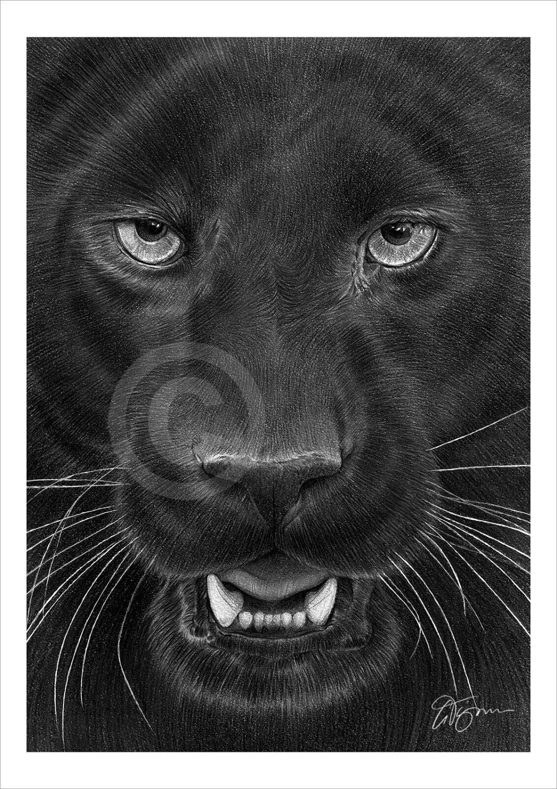 Black Panther Drawing by LethalChris on DeviantArt-saigonsouth.com.vn