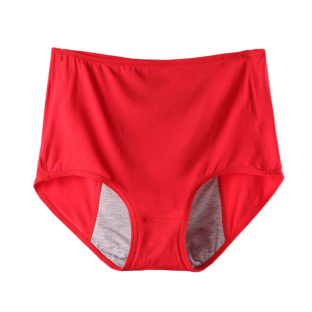 2XL4XL Plus Size Women Underpants Period Panty health leak proof