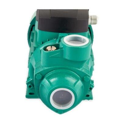Water Pump Brushed Motor Booster Pump QB60 High-lift Large Flow DC12V 24V 48V