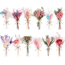 12/24 Pack Dried Flowers for Vase Various Mini Bouquet Dried Small Wildflower...