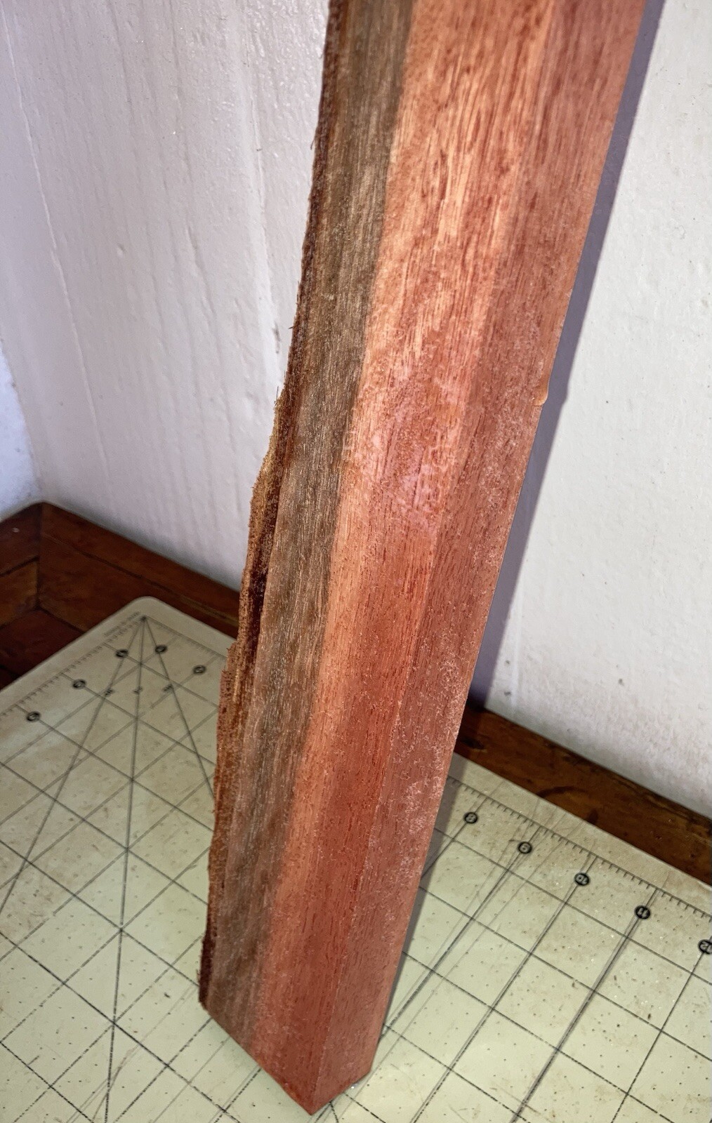 Picture 3 of 11