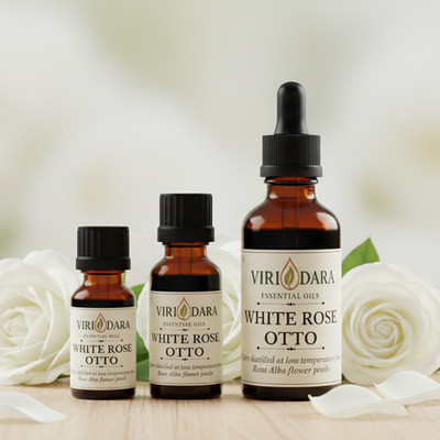 Organic White Rose Otto Essential Oil   100% Pure & Natural   Free Shipping