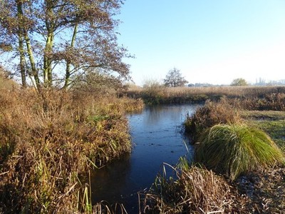 Photo A2 End of autumn at the London Wetland Centre Barnes This is the a c2016