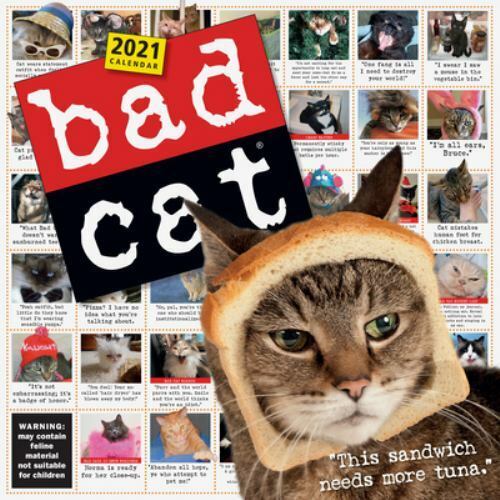 Bad Cat Wall Calendar 2021 by Workman Publishing (2020, Calendar) for