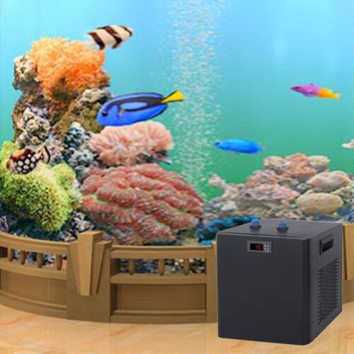300L Aquarium Chiller 79gal 1/3 HP Fish Tank Chiller Refrigeration Compressor - Picture 4 of 5