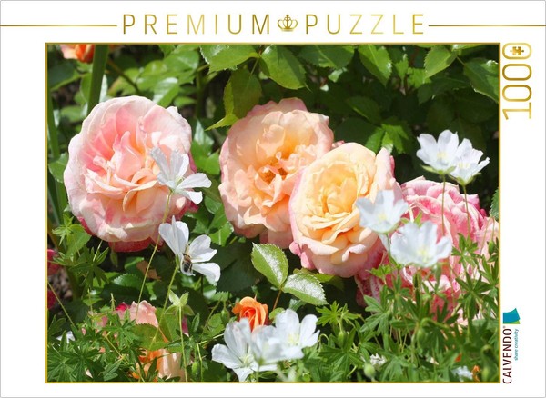 Calvendo Puzzle Pastellfarbene Rosen | 1000 Teile Lege-GrößE 64X48Cm Foto-Puzzle-image