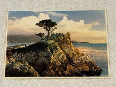 Vintage THE LONE CYPRESS, Monterey Peninsula COLOR POSTCARD Unused 4 x 6 
