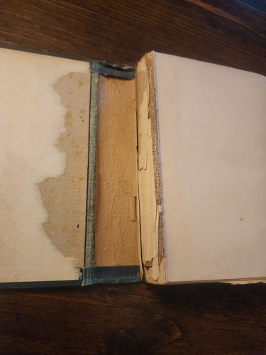 The Green Fairy Book Andrew Lang A.L. Burt Vtg Art Deco Hardcover 1800's RARE - Picture 15 of 18