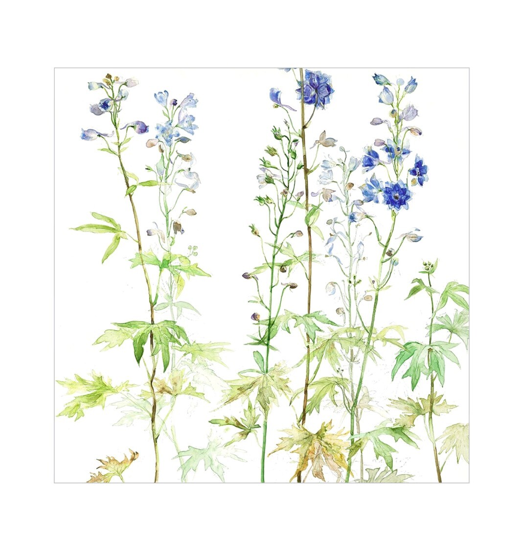 Floral Birthday Card – Blue Flowers – Beautiful Watercolour Greeting Card