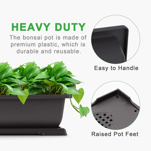 Traditional 3-Pack 11 Inch Bonsai Pots with Raised Trays for Indoor/Outdoor Use - Picture 6 of 8