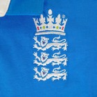 Foto 7 di 8