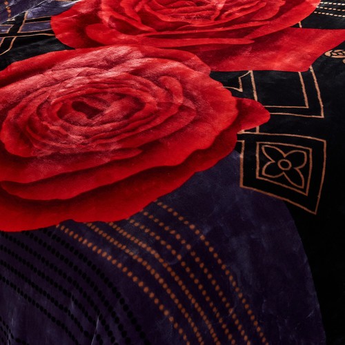 2 Ply Heavy Blanket 2 Sides Printed Soft Thick Warm Bed Throw Blanket 85" x 93" - Picture 63 of 112