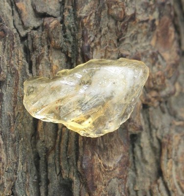 AGI Certified Yellow Grossular Garnet 26.40 Ct/26 mm Natural Gems Rough T37041