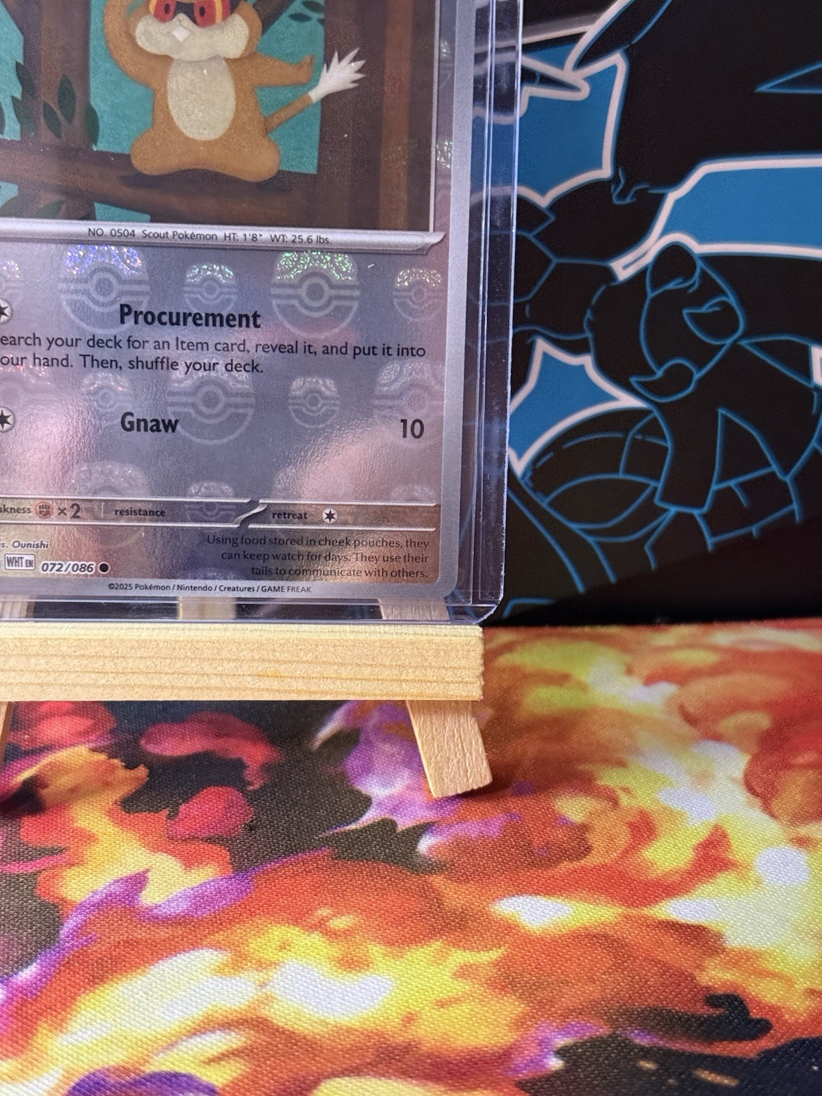 Picture 4 of 10