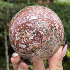 1.2LB 3.1"Natural Red Leopard Skin Jasper Sphere Ball Crystal Quartz Heal Energy