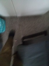 Velour fabric..Lime Green Yellow mottled pattern..57x160cms